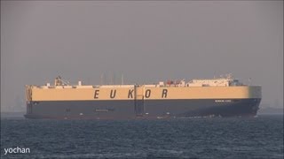 Vehicle Carrier Roro ship MORNING CARA EUKOR IMO 9574092 MMSI 355768000 [upl. by Annek]