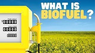 What Is Biofuel  Biomass and biofuels for kids [upl. by Rahm713]