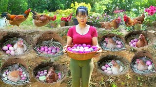 Harvest Chicken Eggs In Hole Goes to market sell amp Build Hole For Hens To Lay Eggs  Tiểu Vân Daily [upl. by Imis]