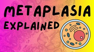 What is Metaplasia Types and Examples Pathology Help Pathology Lecture [upl. by Tnomel]