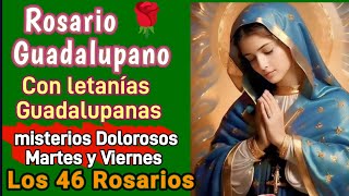 Santo Rosario Guadalupano Martes y Viernes Los 46 ROSARIOS [upl. by Livi513]