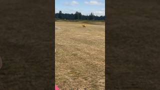 Rc plane engine outing landing [upl. by Ahsercel234]