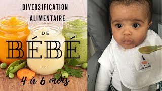 DIVERSIFICATION ALIMENTAIRE 4 à 6 MOIS I PETITS POTS MAISON I IDEES REPAS BÉBÉ [upl. by Nwahsav]