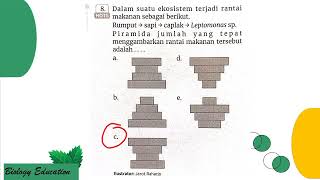 PEMBAHASAN INTAN PARIWARA KELAS 10 BAB EKOSISTEM ASSESMEN HARIAN [upl. by Zak]