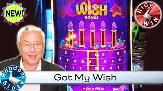 Cha Ching Party Slot Machine Bonus Wish [upl. by Maegan]