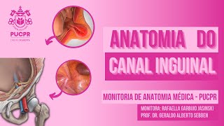 Canal Inguinal  Monitoria de Anatomia Médica da PUCPR [upl. by Ecargyram]