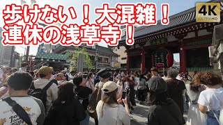 歩けない！連休大混雑の浅草寺！ TokyoAsakusa Sensoji Temple 環境音 ゴールデンウィーク 雷門 [upl. by Guyer977]