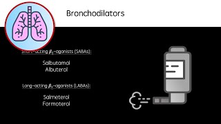 Bronchodilators  AsthmaCOPD [upl. by Declan947]