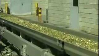 Marathon Vibratory Conveyor [upl. by Snook]