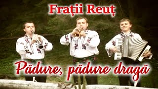 Frații Reuț  Pădure pădure dragă FratiiReut 2009 [upl. by Trust]