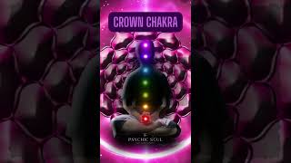 Crown Chakra Affirmations  I UNDERSTAND [upl. by Uis]