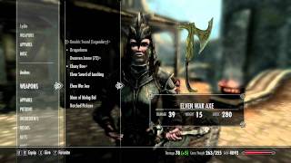 The Elder Scrolls V Skyrim  Guide to equipping your companion [upl. by Gan229]