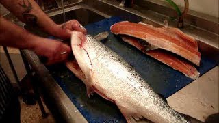 How To Fillet SalmonInto Salmon SidesFilletsQUICKLY [upl. by Bendix688]