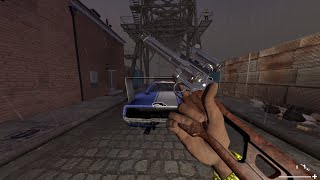 Left 4 Dead 2 Weapon Showcase  CODMW2019 357 tycoon Desert Eagle gameplay [upl. by Krell]