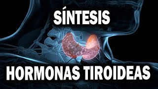 SÍNTESIS DE HORMONAS TIROIDEAS explicado PASO A PASO [upl. by Potter204]