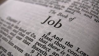 Bible Project The Book of Job [upl. by Neelik669]