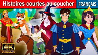 Histoires courtes au coucher  Histoire Pour Sendormir  Contes De Fées  Histoire Pour Dormir [upl. by Nyberg30]