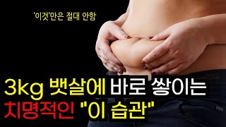 뱃살 증가 이렇게 하면 무조건 쪄요 복부비만 보장된 다이어트 최악의 습관 [upl. by Rech]