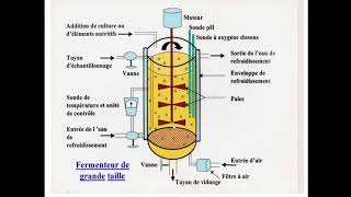 MICROBIOLOGIE INDUSTRIELLE [upl. by Amerak]