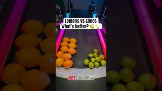 Lemons or Limes What’s better 🤔 [upl. by Enatan]