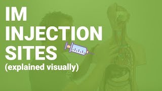 HOW TO GIVE IM INJECTIONS  sites considerations nursing care for nurses [upl. by Adolphe]