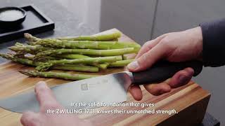 About our ZWILLING TWIN 1731 Knife Series  ZWILLING [upl. by Thalassa]