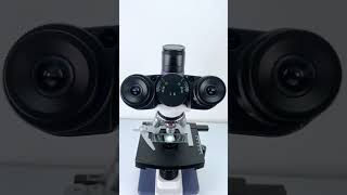 Yakult magnified 400X is seriously awesomeunderthemicroscope science microscope [upl. by Eixid]