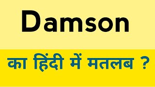 Damson meaning in hindi  Damson ka matlab kya hota hai [upl. by Orecic161]