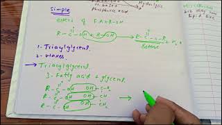 CV B 001 Classification of lipids part 1 made easy CVS module biochemistry lecture 1 [upl. by Nealon]