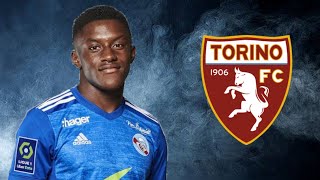 JeanRicner Bellegarde ● Skills ● Goals ● Assists ● Torino [upl. by Kifar243]