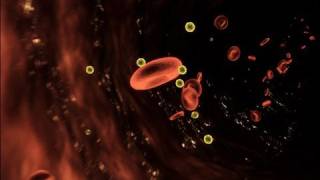 Parasite Infiltrates Bloodstream [upl. by Naresh]