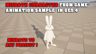 Migrate Character from Game Animation Sample to Any Project in UE54 [upl. by Eberhard]