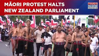 Māori Protest Halts New Zealand Parliament Amid Tensions Over Race Relations Law  World News [upl. by Eyssej]