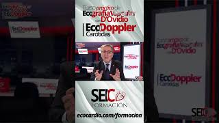 Curso Práctico de Ecografía Vascular  Eco Doppler Carótidas [upl. by Eldnik]