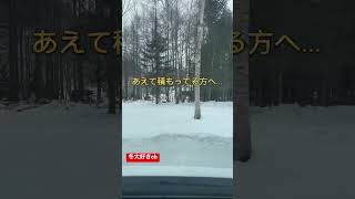 ランクルで雪道を突破する雪道走行 オフロード ランクル [upl. by Mathilde]