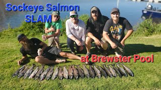 Slammin Sockeye Salmon at Brewster Pool [upl. by Ssyla]