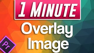 How to Overlay Image in Premiere Pro [upl. by Ikin]