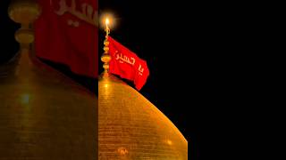 Shab e jummah ziarat e imam Hussain as  karbala alifani shorts youtubeshorts [upl. by Sokin80]