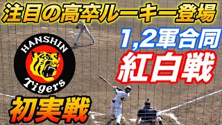 12軍の野手が大挙して出場！！阪神今シーズン初の紅白戦！山田脩也＆百崎蒼生の高卒コンビもプロ初実戦！！ [upl. by Luapleahcim245]