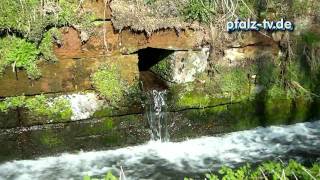 Die Fronmühle bei Hassloch  Mühlen in der Pfalz  Mühle am Speyerbach  HD Qualität [upl. by Akemeuwkuhc]