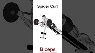 Exercice développe Biceps  partie 2 💪🏻💯🔥fitness sports workout bodybuilding motivation [upl. by Pulchi]