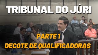 Tribunal do Juri  Decote de Qualificadoras Video 0102 [upl. by Mitchell272]