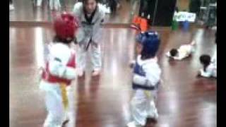 태권도 겨루기 5살아이들이에요 5years old kids taekwondo fight [upl. by Adai]