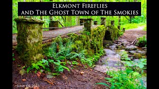 Elkmont Fireflies and the Ghost Town of the Smokies June 2023 [upl. by Scarlet]