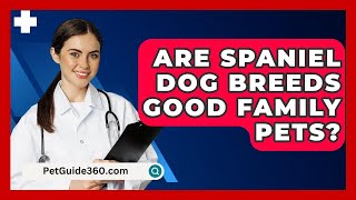 Are Spaniel Dog Breeds Good Family Pets  PetGuide360com [upl. by Coopersmith]