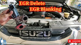 EGR Blanking Isuzu Mux amp Dmax [upl. by Blakelee440]