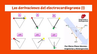 Las derivaciones del EKG I [upl. by Hgieliak194]