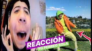 REACCIÓN Yo Perreo Sola  Bad Bunny  YHLQMDLG  YO PERREO SOLA [upl. by Novonod]