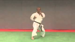 3 Pinan Sandan Wado Ryu [upl. by Corotto]