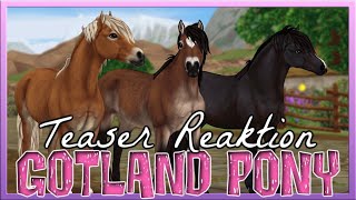 Das GOTLAND PONY 🐴💗 Star Stable Teaser Reaktion SSO [upl. by Ellerrehc150]